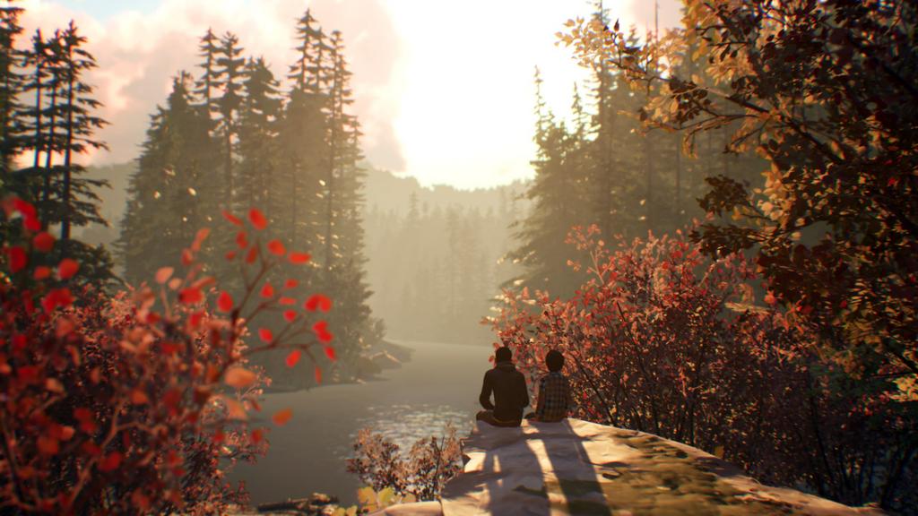 Player Research Life is strange 2 case study image
